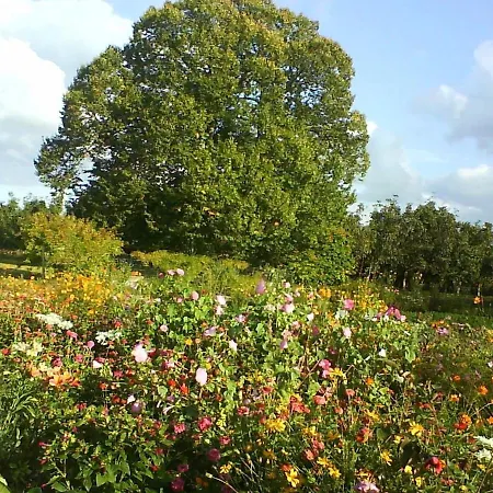 Hébergement de vacances Champêtre Avec Piscine Chauffée, Cheminée, Et Terrasse En Plein Sud - Fr-1-410-131 *