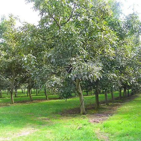 Champêtre Avec Piscine Chauffée, Cheminée, Et Terrasse En Plein Sud - Fr-1-410-131 * La Chapelle-aux-Choux