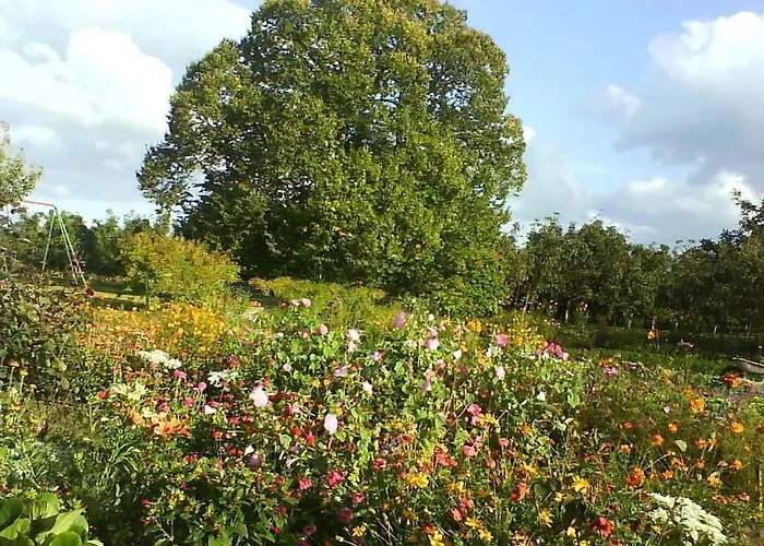 Hébergement de vacances Champêtre Avec Piscine Chauffée, Cheminée, Et Terrasse En Plein Sud - Fr-1-410-131 *