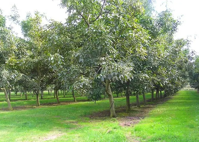 Champêtre Avec Piscine Chauffée, Cheminée, Et Terrasse En Plein Sud - Fr-1-410-131 * La Chapelle-aux-Choux